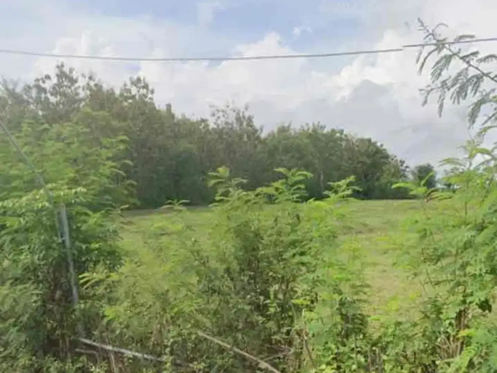 DIJUAL / FREEHOLD : Sebidang Tanah Kosong Kawasan Industri Lokasi : Jl Munduk Kpl Balian, Pantai Pengambengan, Negara