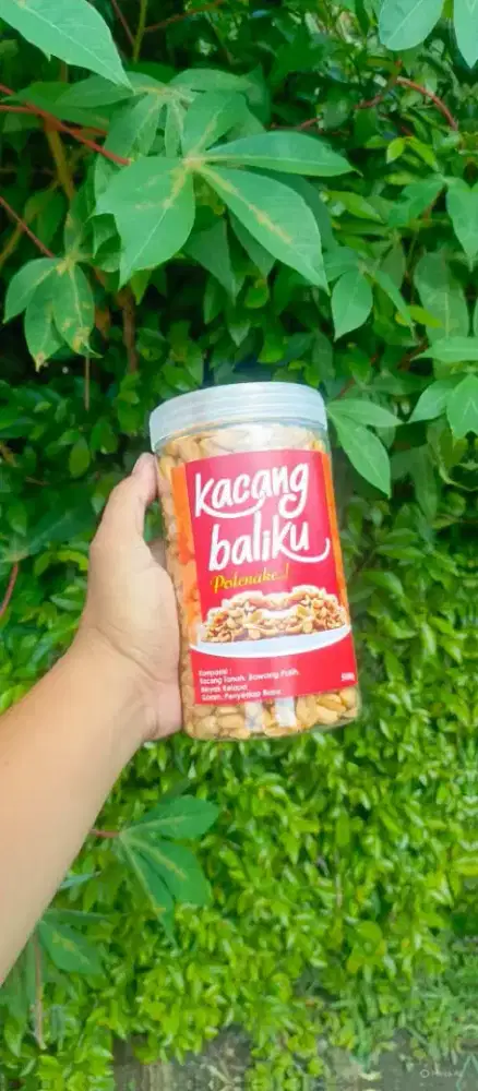 Sales Motoris Kacang Bali