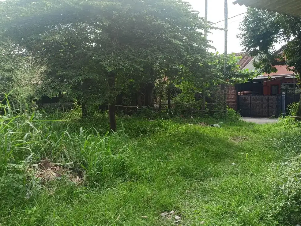 Kavling Eksklusif Ciomas Rahayu 5 Menit Kantor Kecamatan Ciomas Legalitas SHM