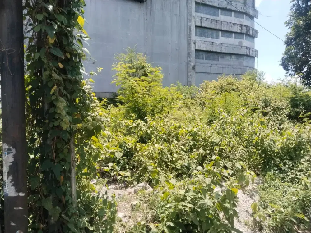 TANAH PREMIUM JALAN UTAMA BYPASS NUSA DUA BALI