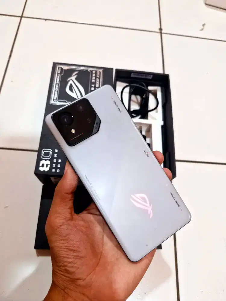 ASUZ ROG 8 12/256GB