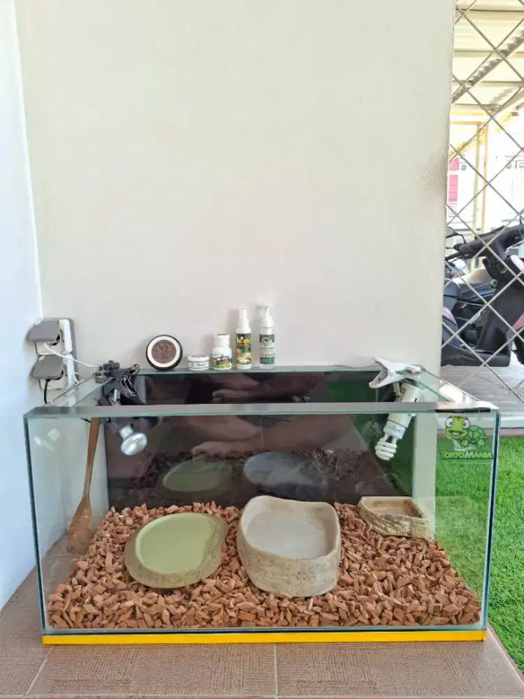Jual Bekas Kandang kura-kura Fullset
