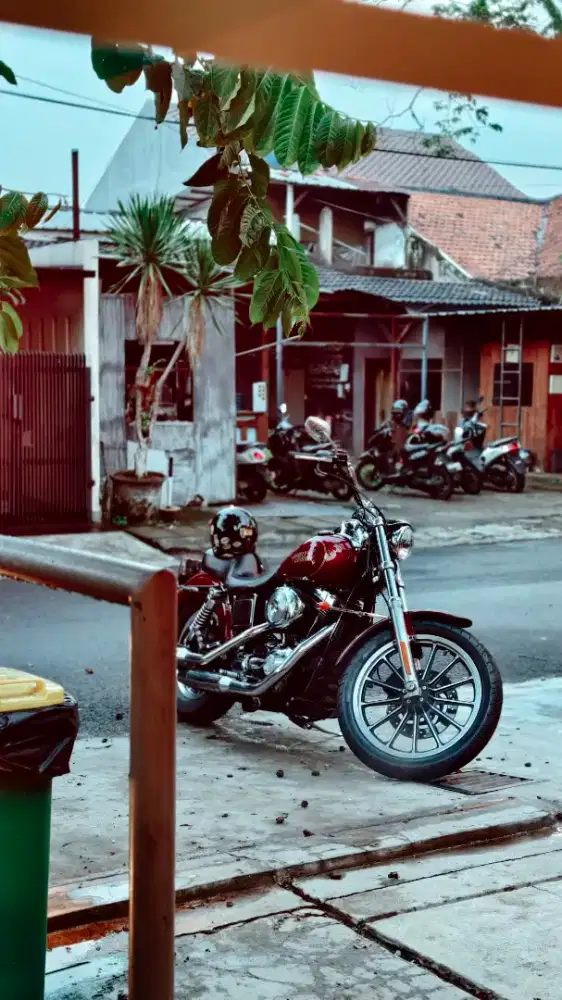 HD Dyna Low rider FXDL 2004 karbu