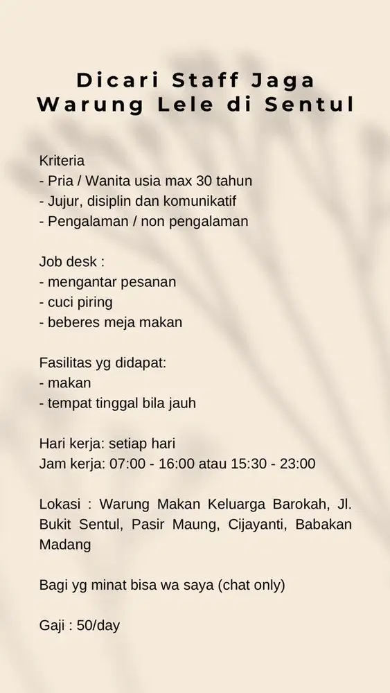 Dicari Staff Jaga Warung Lele di Sentul