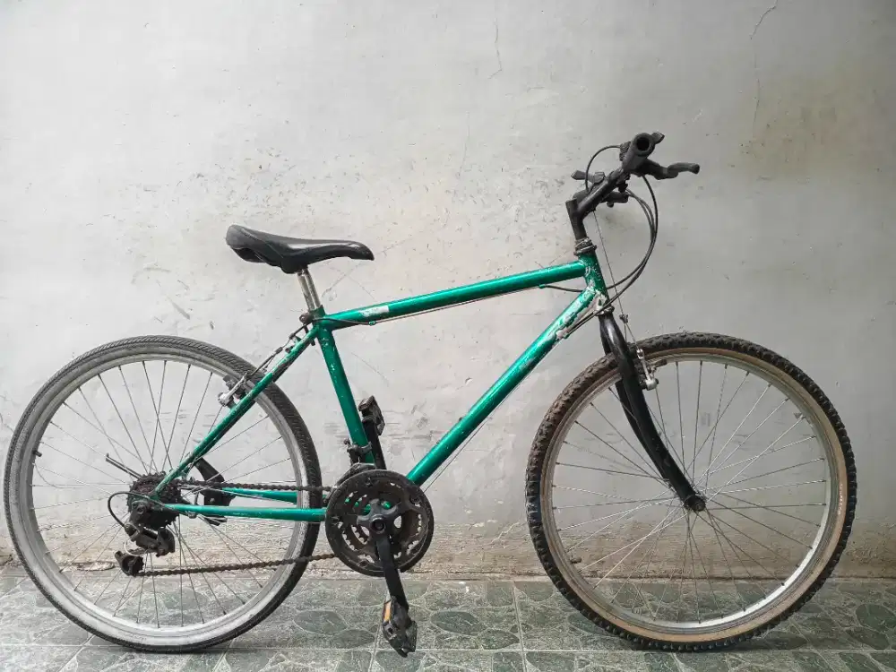 Federal insera rims 26 lancar