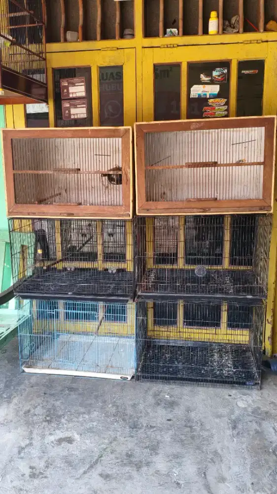Kandang Kotak bekas Ternak