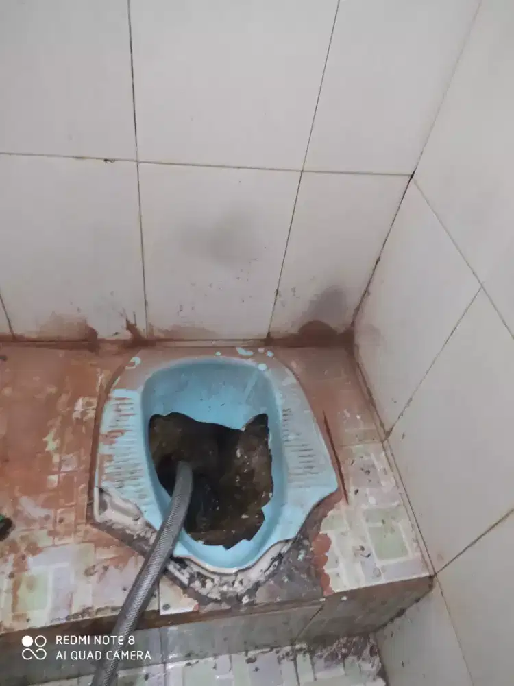 Wc mampet dan sedot