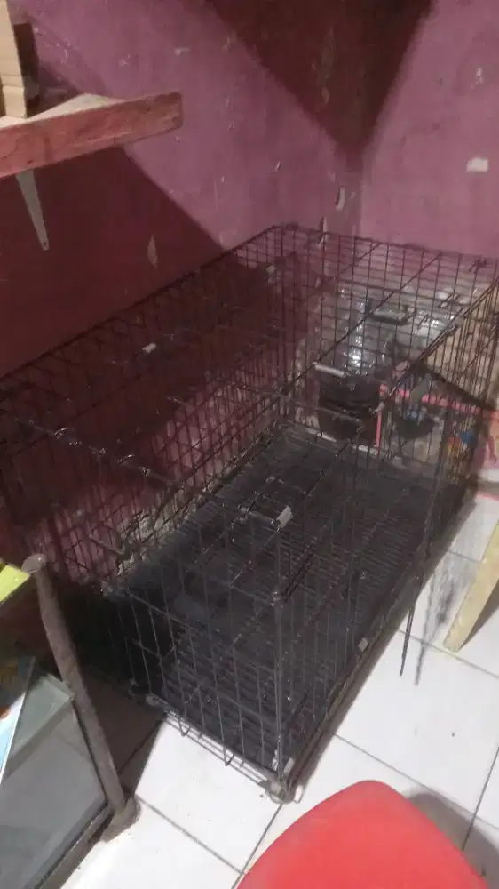 Kandang Besi Lipat Kucing