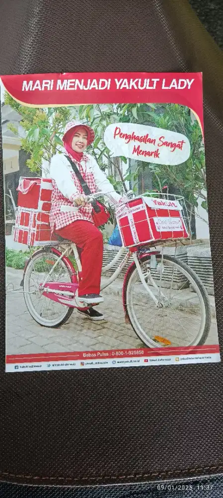 Lowongan Kerja Yakult Lady