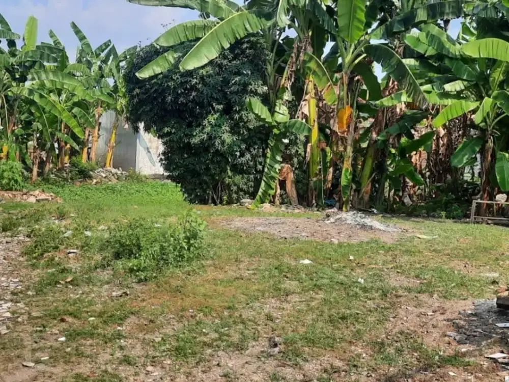 Tanah daerah Gayamsari – 10738