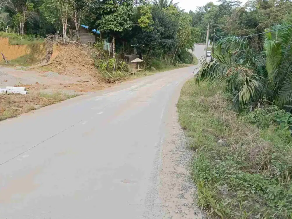 Bismillah dijual Tanah IKN,jalan besar, SHM 30 menit menuju Istana