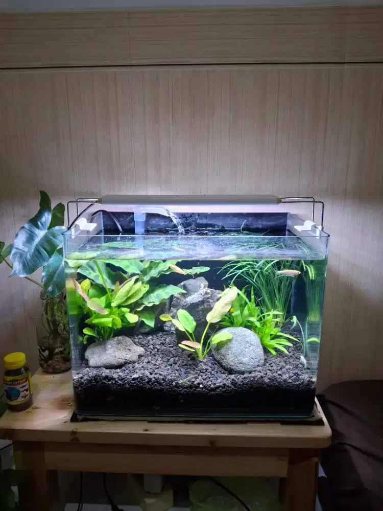 jual aquarium beserta isi