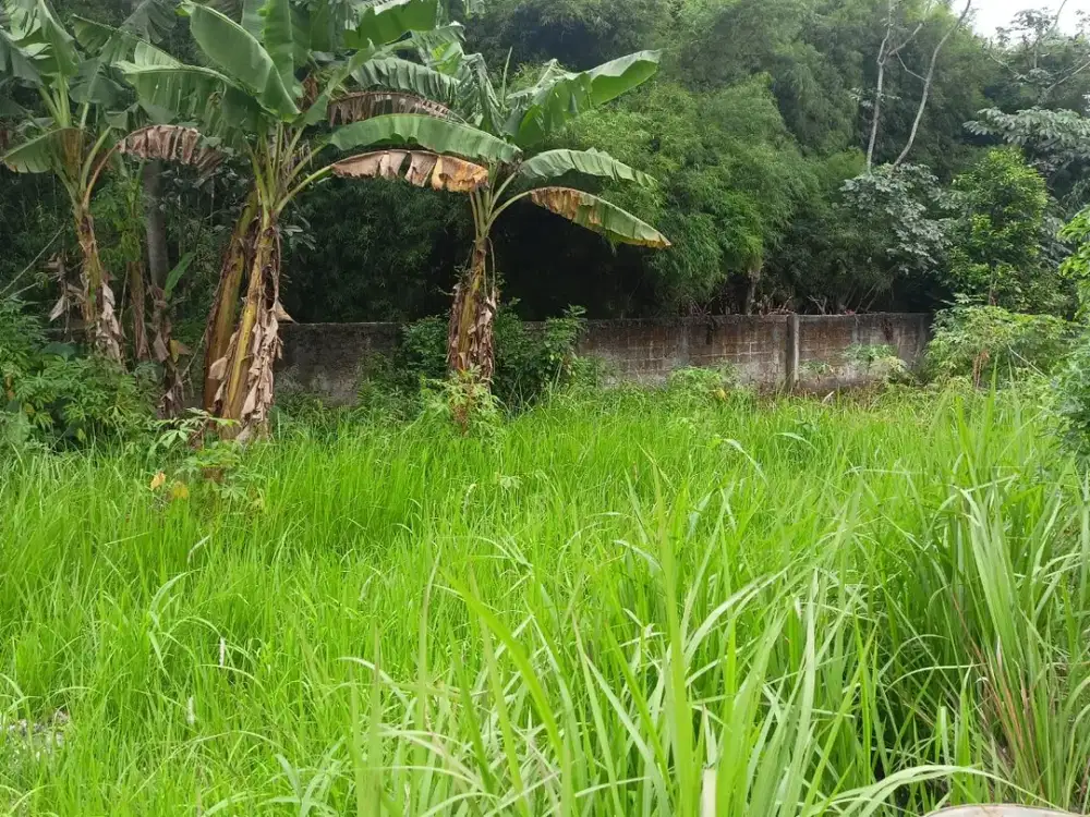 Tanah Kavling Sawangan Lokasi Strategis 3 Menit RSUD Kota Depok Legalitas SHM