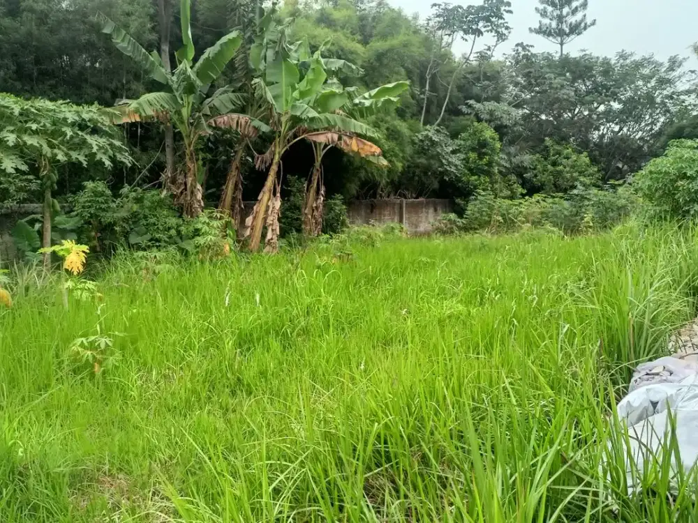 3 Menit RSUD Kota Depok! Kavling Eksklusif Di Perumahan Puri Maharsi Legalitas SHM
