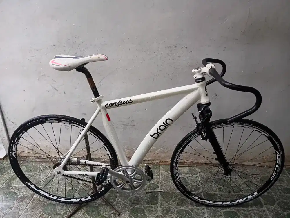 Brain fixie alloy terpedo checnya.