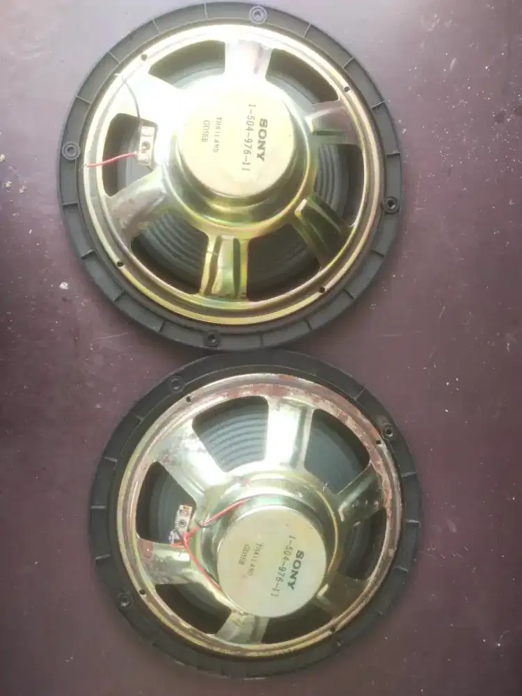 speaker sony 10 inch