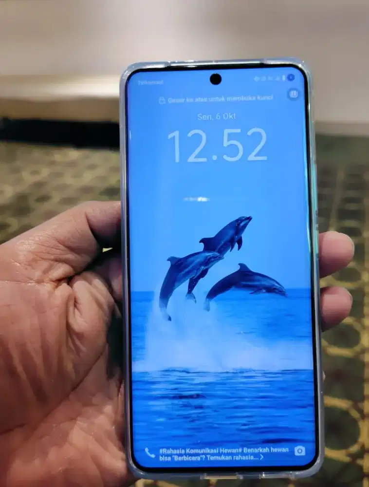 HP VIVO IQOO Z10 5G