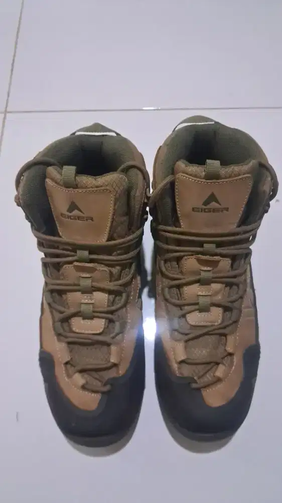 Sepatu Gunung Eiger Pollock 2.0