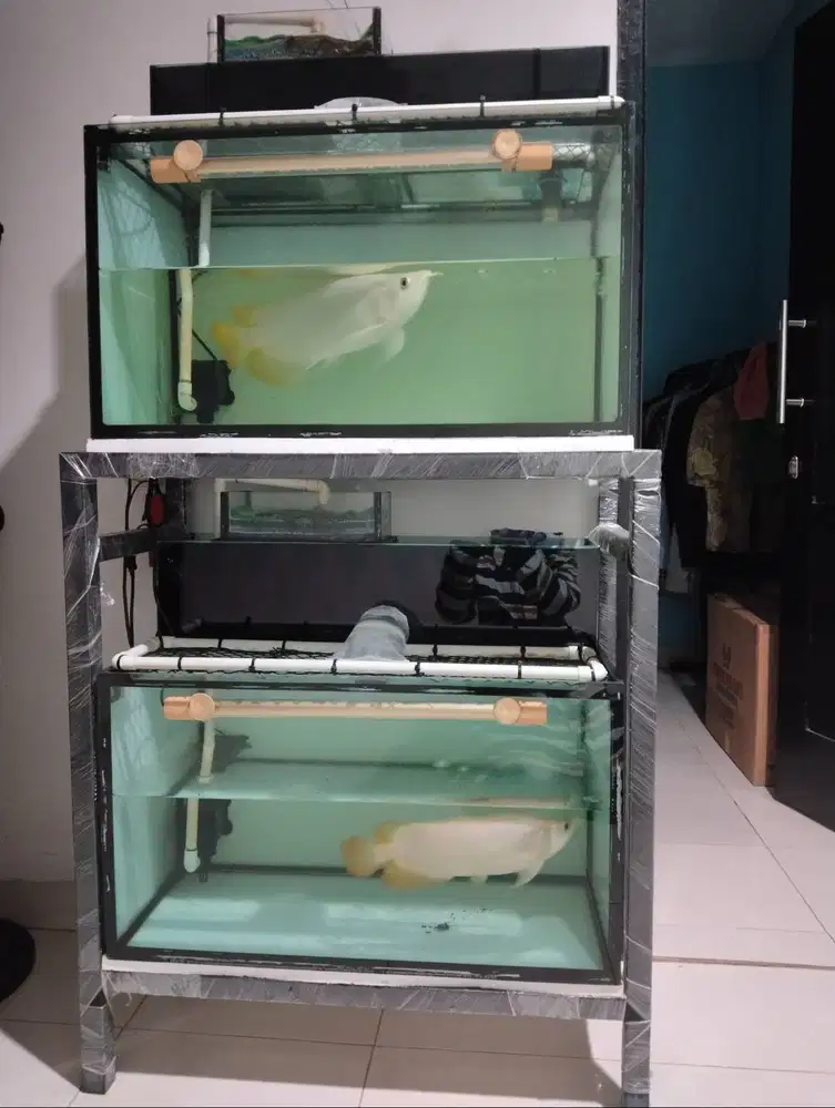 Aquarium di jual cepat