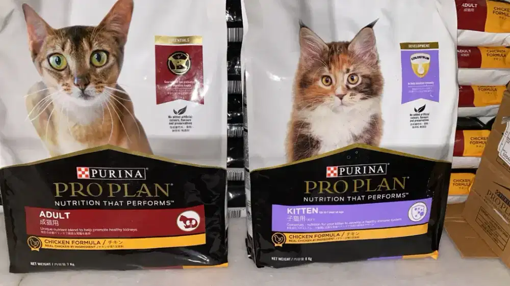 proplan murah banget
