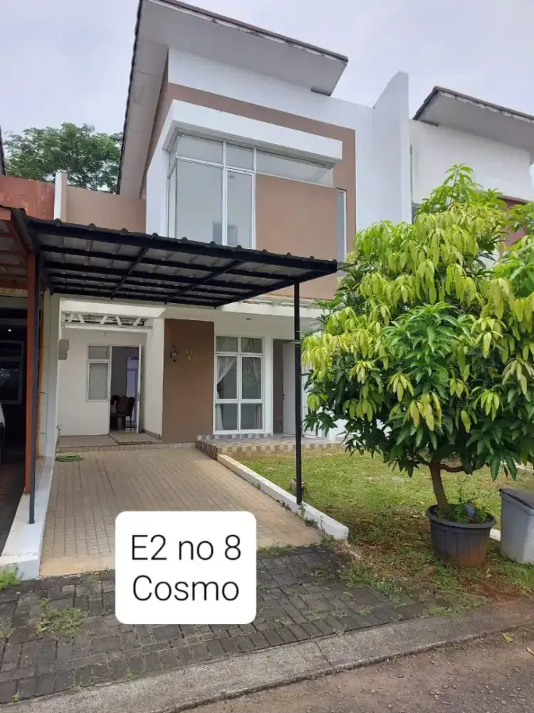 Icon Eastern Cosmo