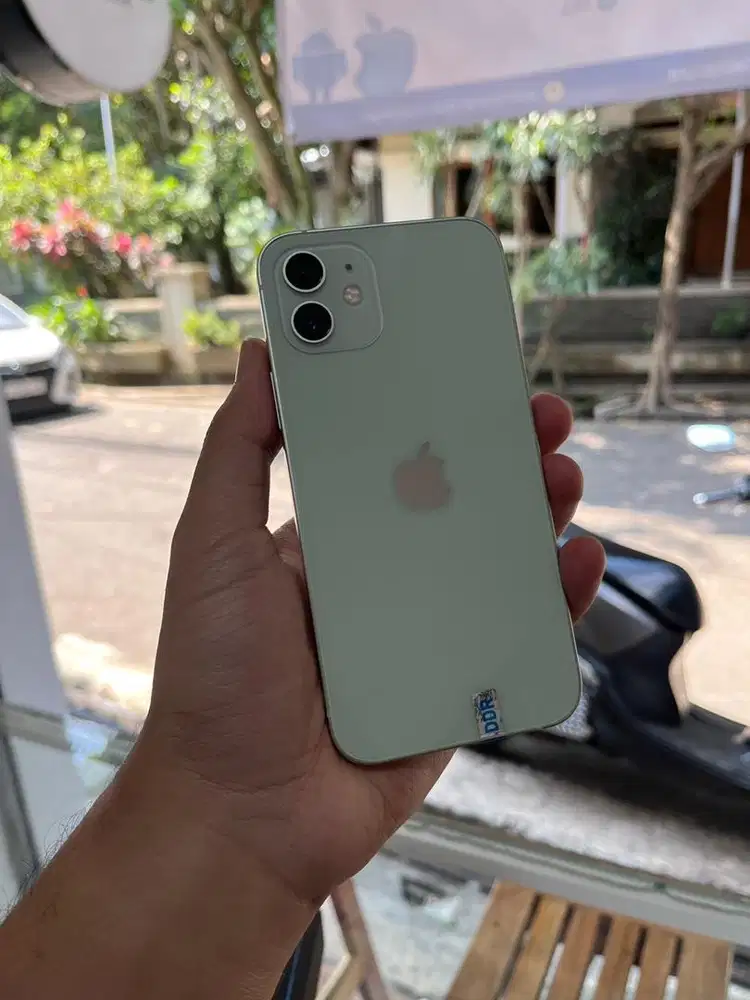 iPhone 12 128gb Green