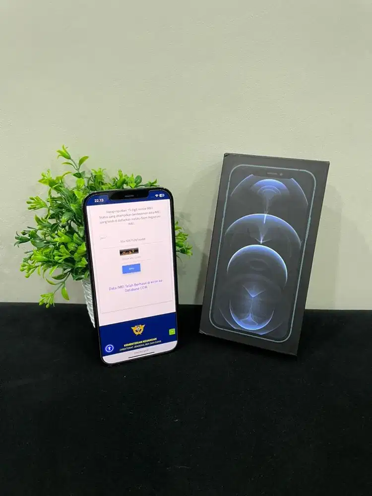 IPhone 12 ProMax 256GB Pacific Blue Fullset BH 78% imei Bea Cukai