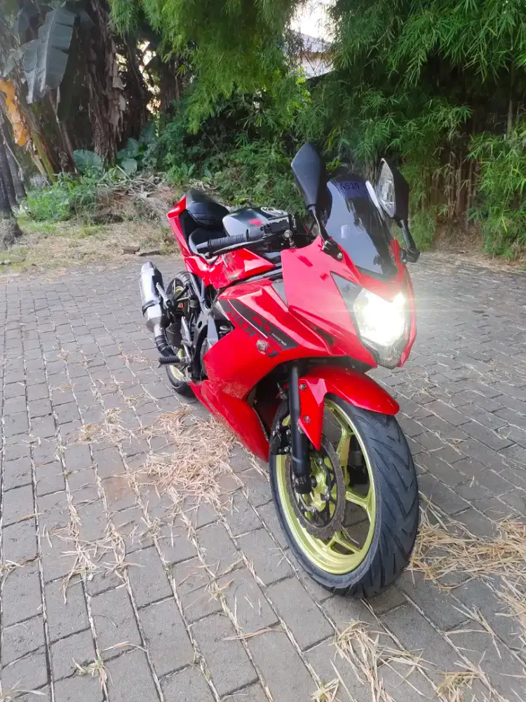 Ninja 250 Mono SL TT/BT
