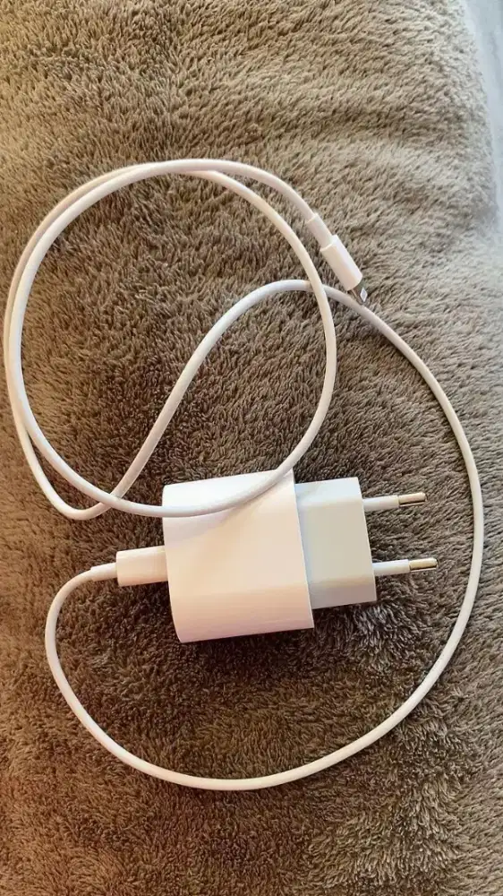 Charger Apple Original Copotan second