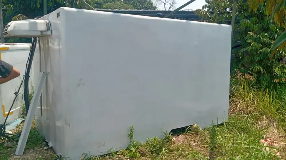 Box freezer engkel