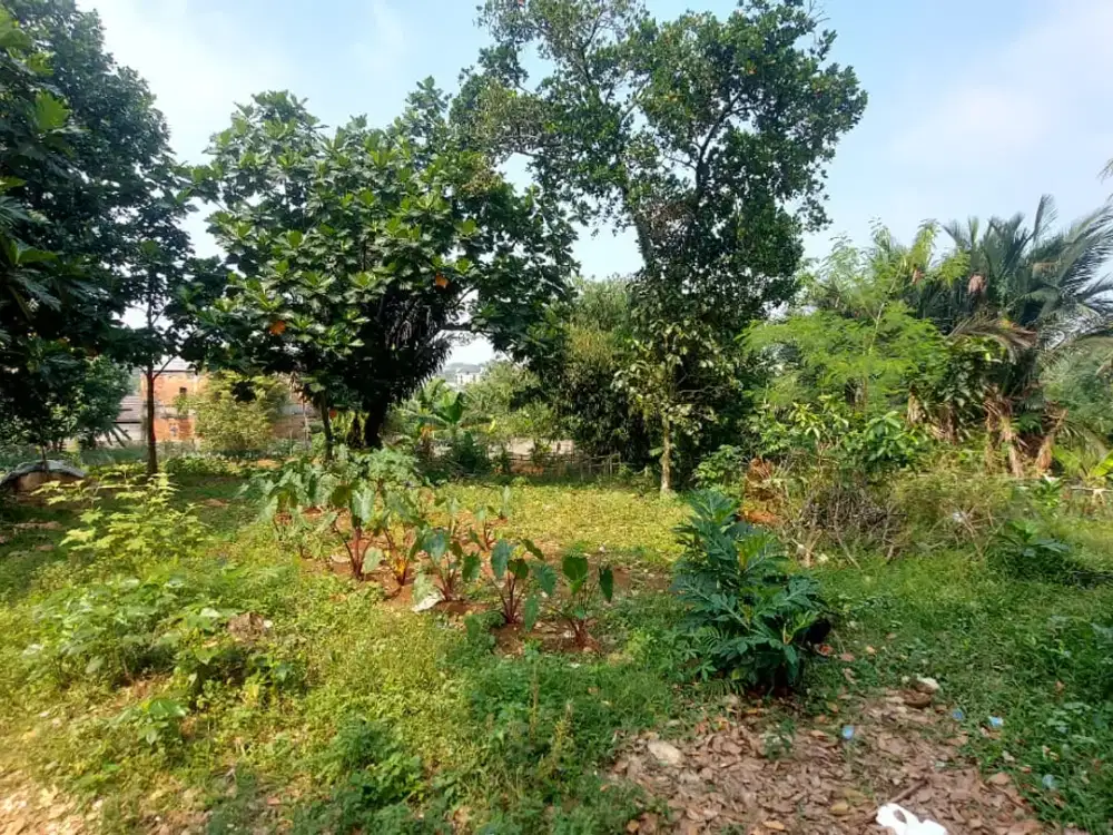 Dijual Tanah Darat siap bangun cocok utk Mini Cluster, Kost2an, Kontrakan di Tanah Sareal - Bogor