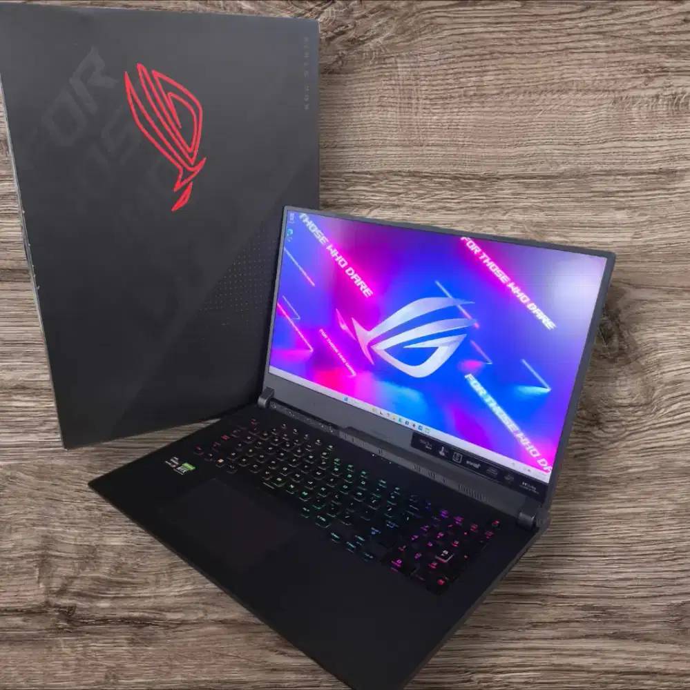 ASUS ROG STRIX G713RM R736H6G