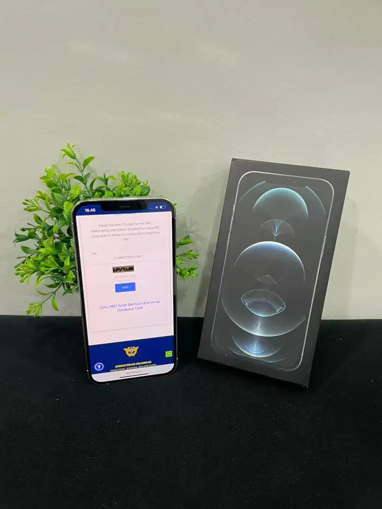 IPhone 12 ProMax 128GB Silver mulus Fullset BH 100% Imei Bea Cukai