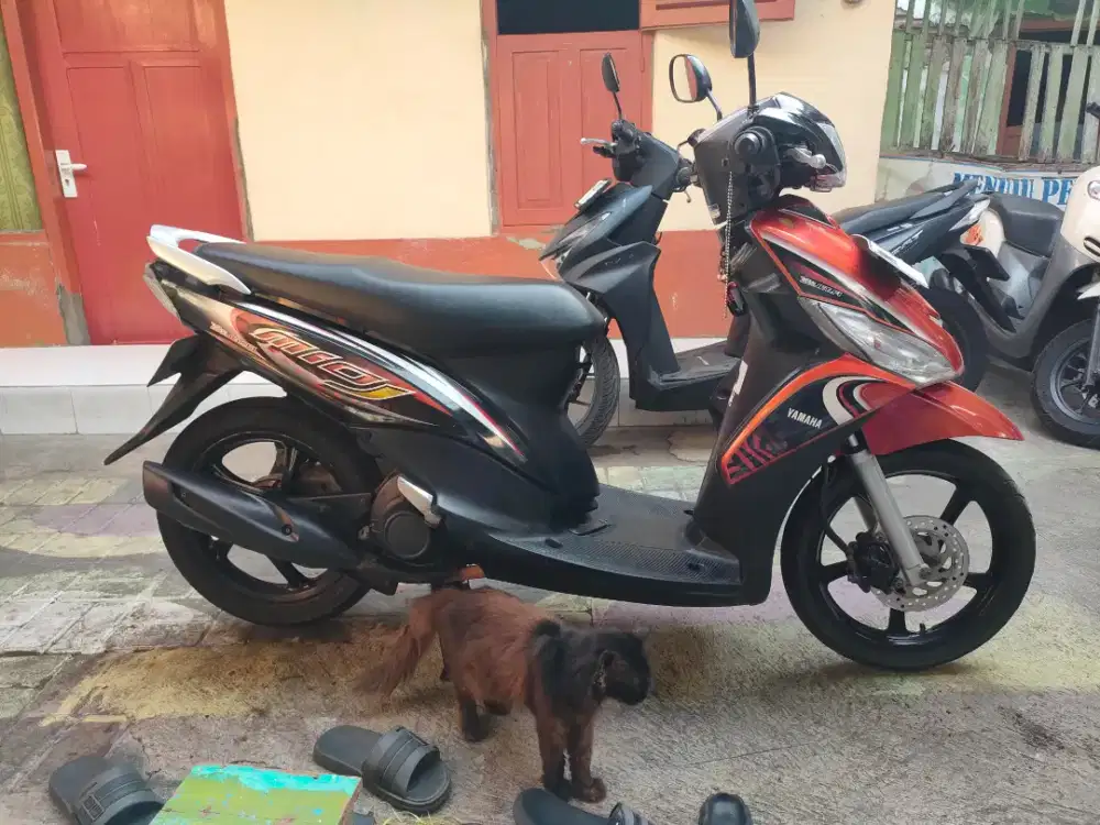 MIO J 2012 standart