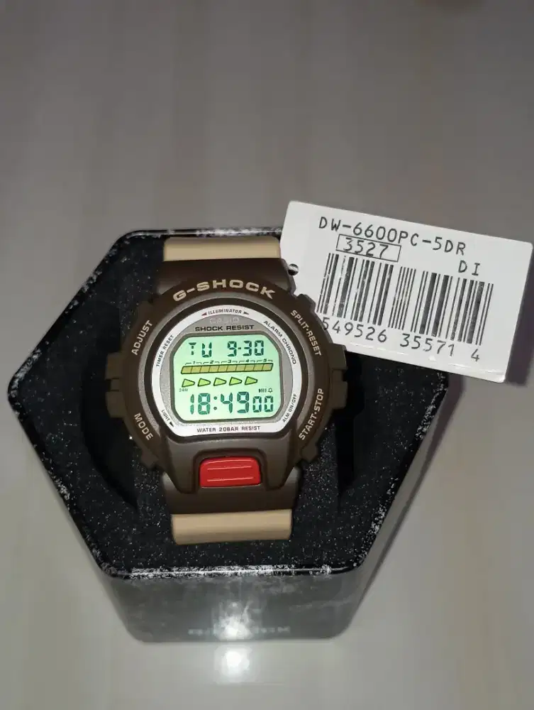 Casio Gshock DW-6600PC