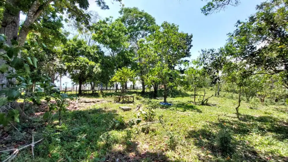 JUAL TANAH KAVLING TOKO --- INVESTASI