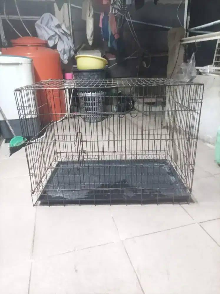 Kandang kucing no pth jeruji aman semua