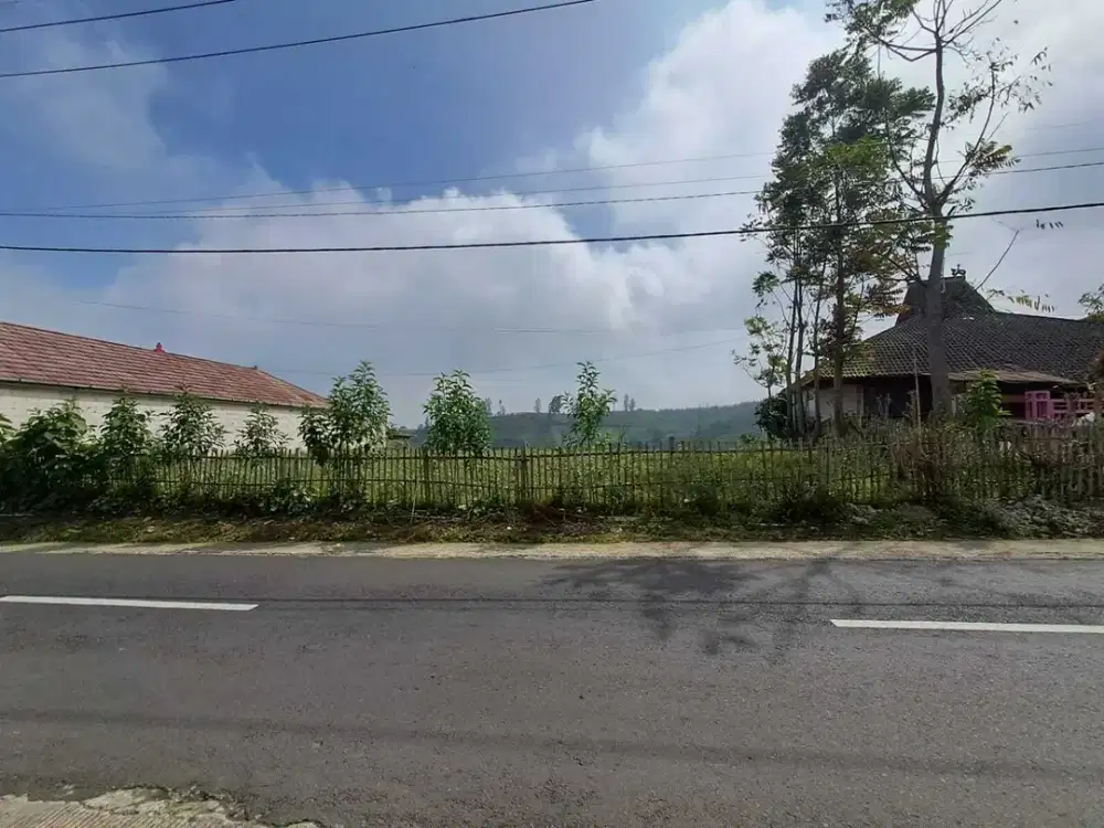 UPDATE HARGA Dijual Tanah Kebun di Gubuk Klakah arah G.Bromo, Malang