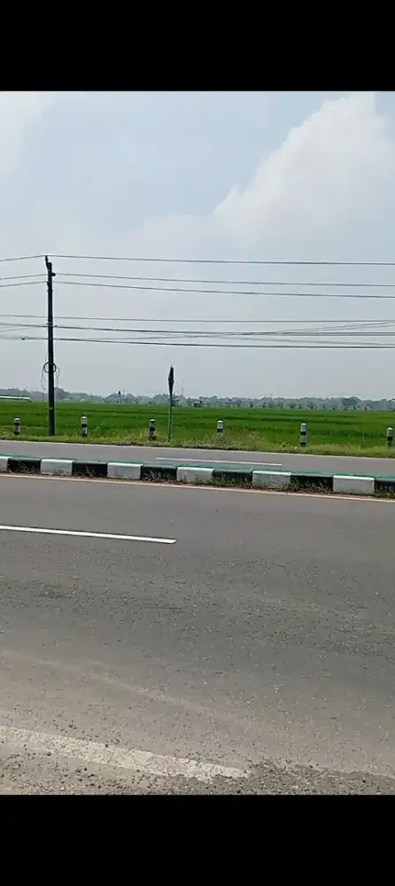 Tanah kering dekat lampu merah tol Sragen