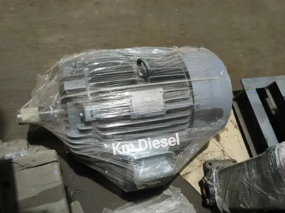 Dinamo Teco 15HP RPM 1450 /Dinamo 11KW /Dinamo 15HP /ElektroMotor 15HP