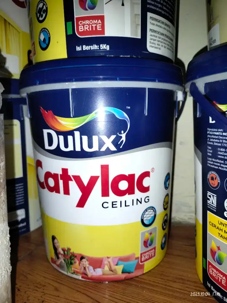 Cat plafon mrek dulux