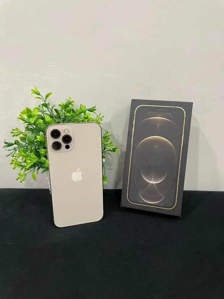 IPhone 12 Pro 128GB Gold mulus Fullset BH 100% Sinyal Permane