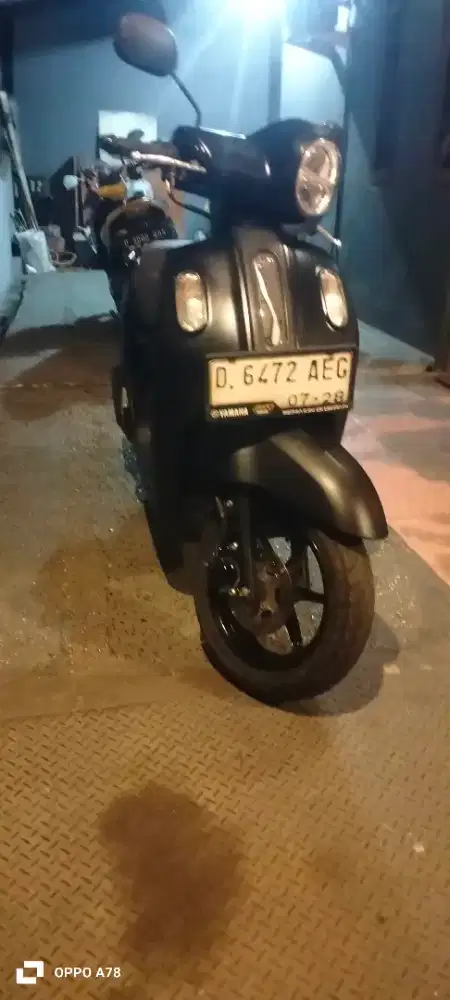 Fazzio 2023 istimewa