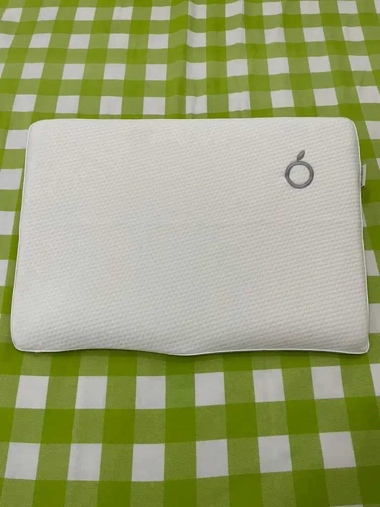 Doogle Wedge Pillow