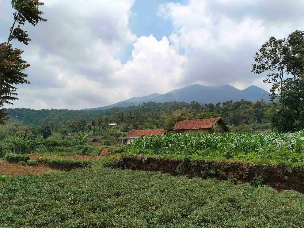 Dijual cepat Tanah kebun murah SHM pinggir jalan masuk mobil dekat wisata