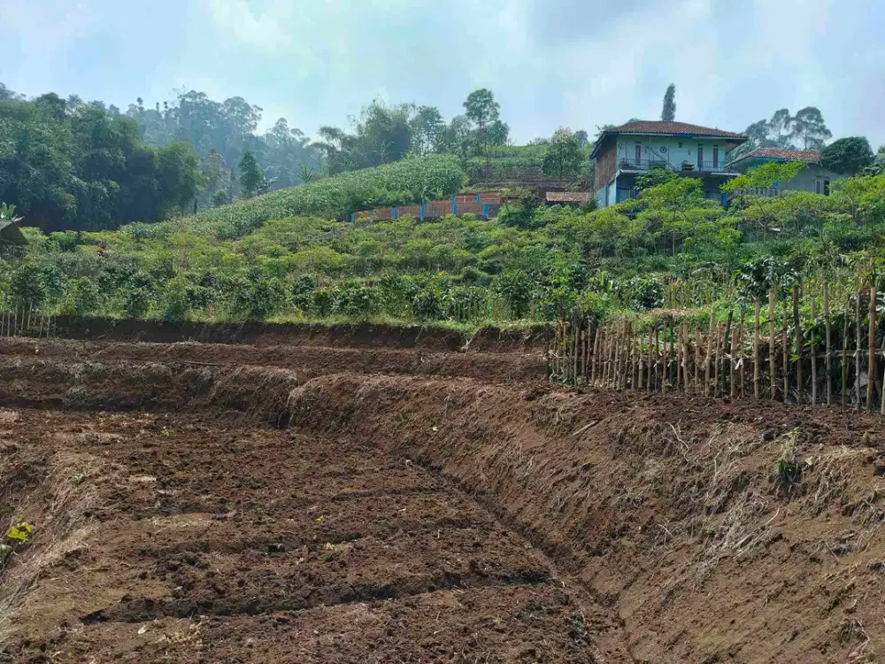 jual cepat kebun kopi pinggir jalan milk pribadi air bagus