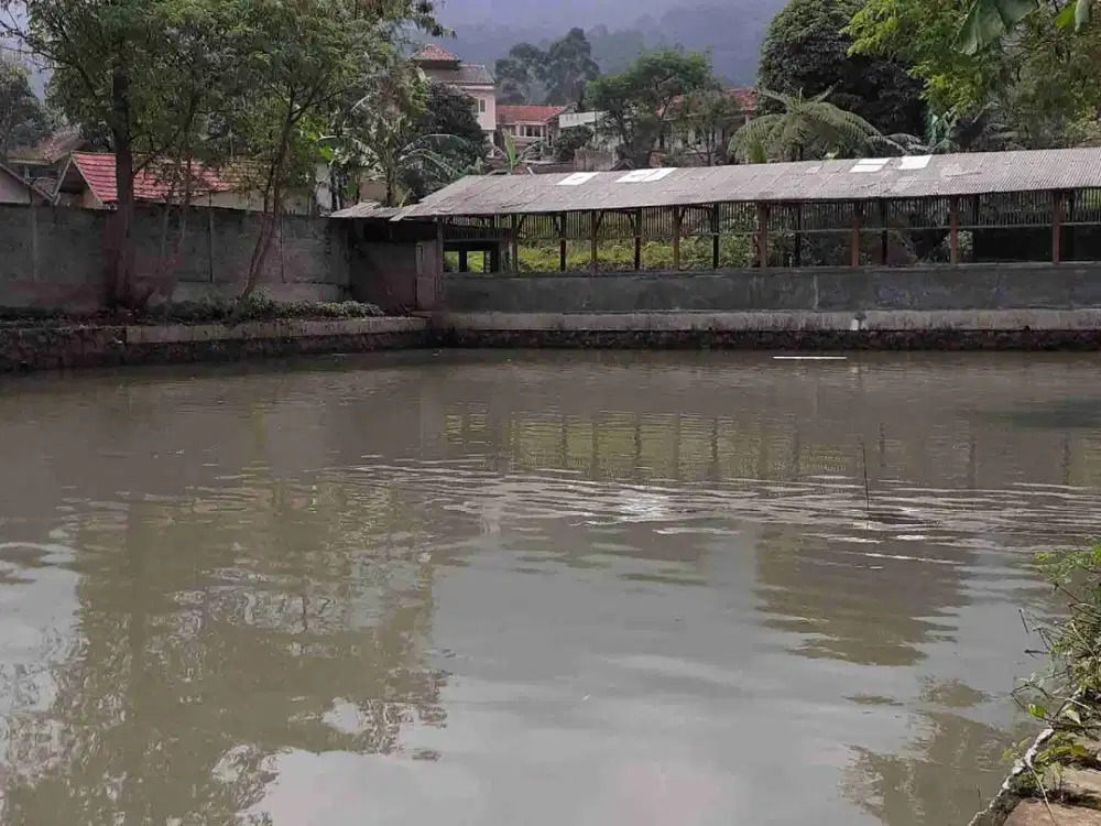 Tanah kebun kolam ikan Mirah di kawasan wisata gunung Puntang air normal