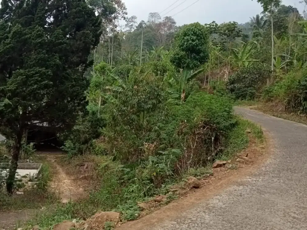 Dijual tanah cocok untuk rumah kebun view pegunungan Wonosalam, Jombang