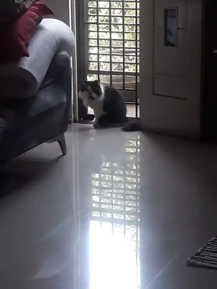 Dibutuhkan Asisten rumah tangga