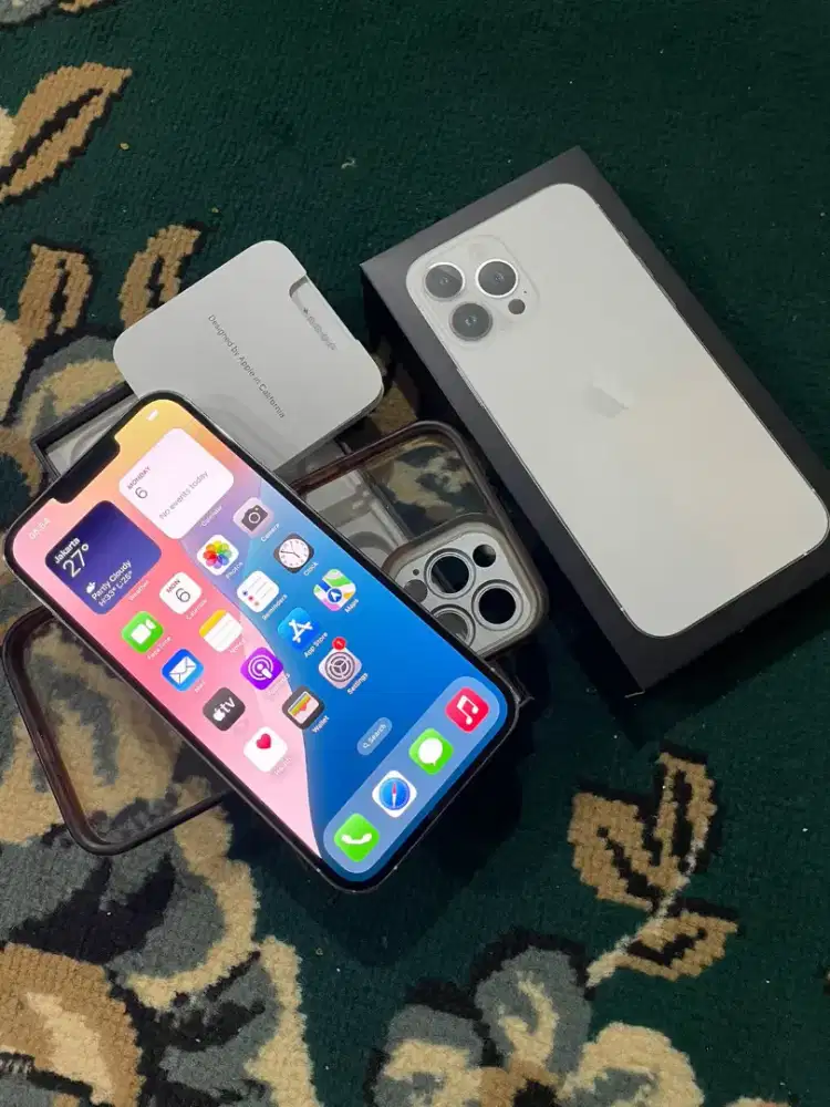 Iphone 13 promax